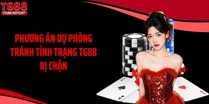 Phương án dự phòng tránh tình trạng TG88 bị chặn